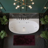 New England Home Goods 67" Spa-Style Freestanding Acrylic Massage Bathtub with 6 Jets & LED