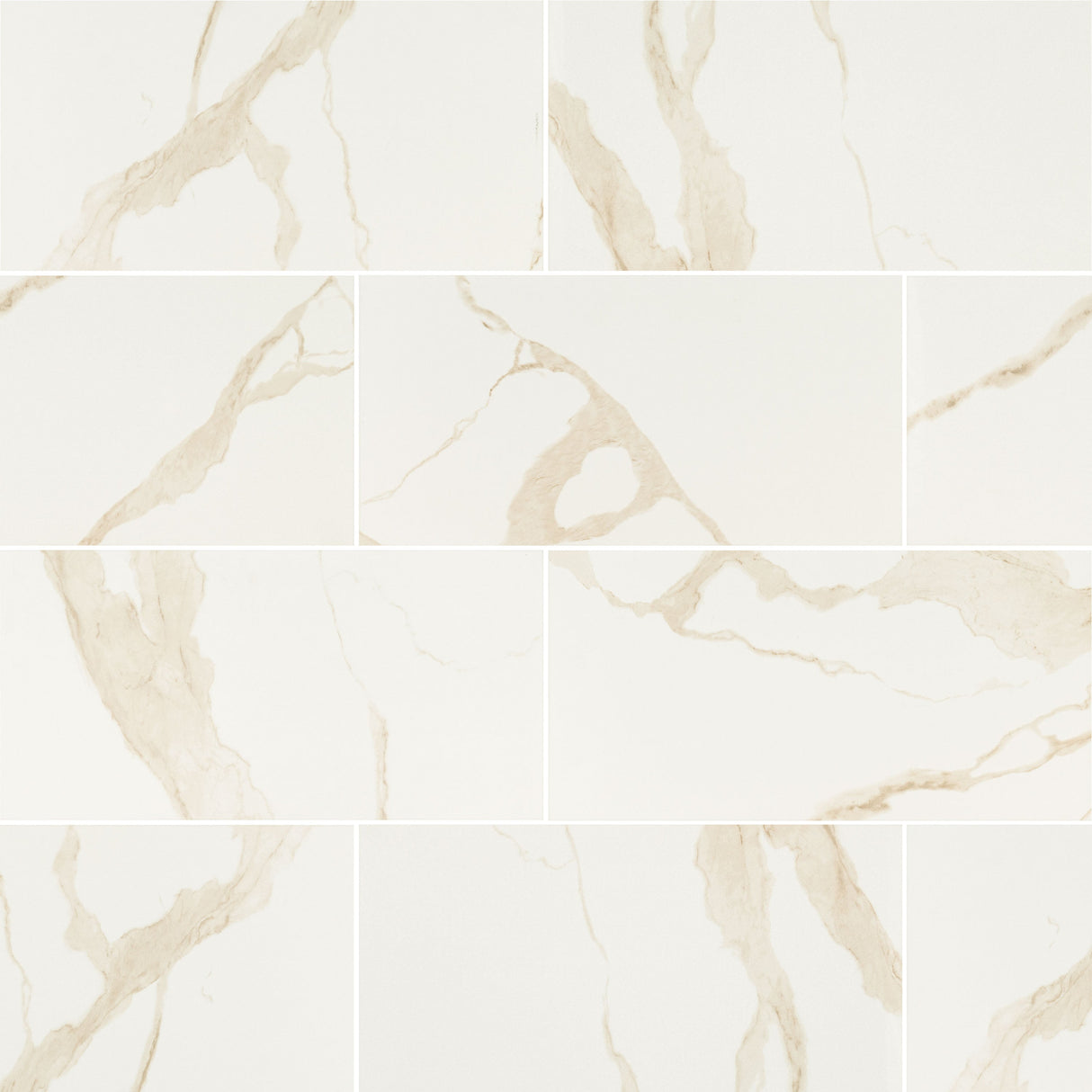Eden calacatta 24 in x 48 in polished NEDECAL2448P porcelain floor and wall tile product shot wall view #Size_24"x48"