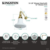 Victorian P50CK 5-1/8 Inch Ceramic Shower Head with 12-Inch Shower Arm, Polished Chrome