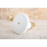 Victorian P50PBCK 5-1/8 Inch Ceramic Shower Head with 12-Inch Shower Arm, Polished Brass