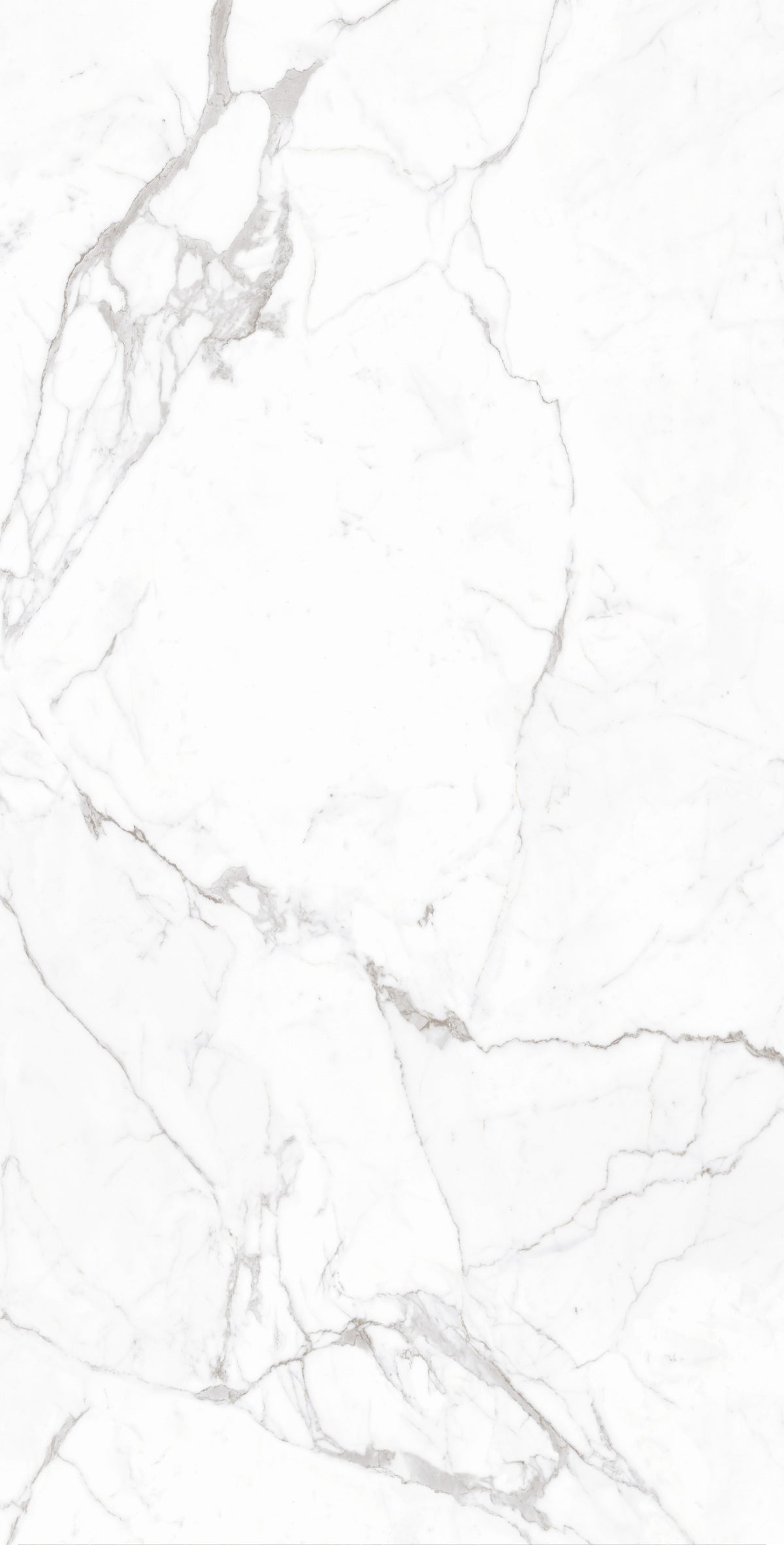 Daltile Elemental Selection Statuario Slab 48x96 Glossy 6MM FC2 Porcelain Slab CM034896DBF21L