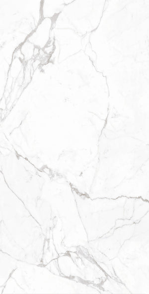 Daltile Elemental Selection Statuario Slab 48x96 Glossy 6MM FC2 Porcelain Slab CM034896DBF21L