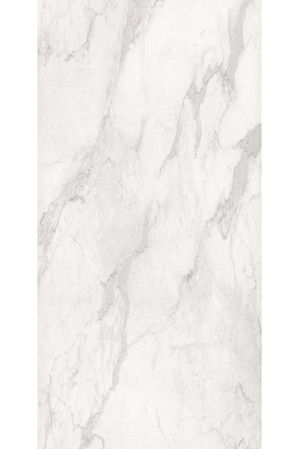 Daltile Elemental Selection Calacatta Slab 64x127 Glossy 12MM FC2 Porcelain Slab