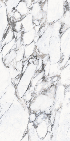 Daltile Elemental Selection Gypsum Calacatta Slab 48x96 Glossy 6MM FC1 Porcelain Slab CM224896PANF11L