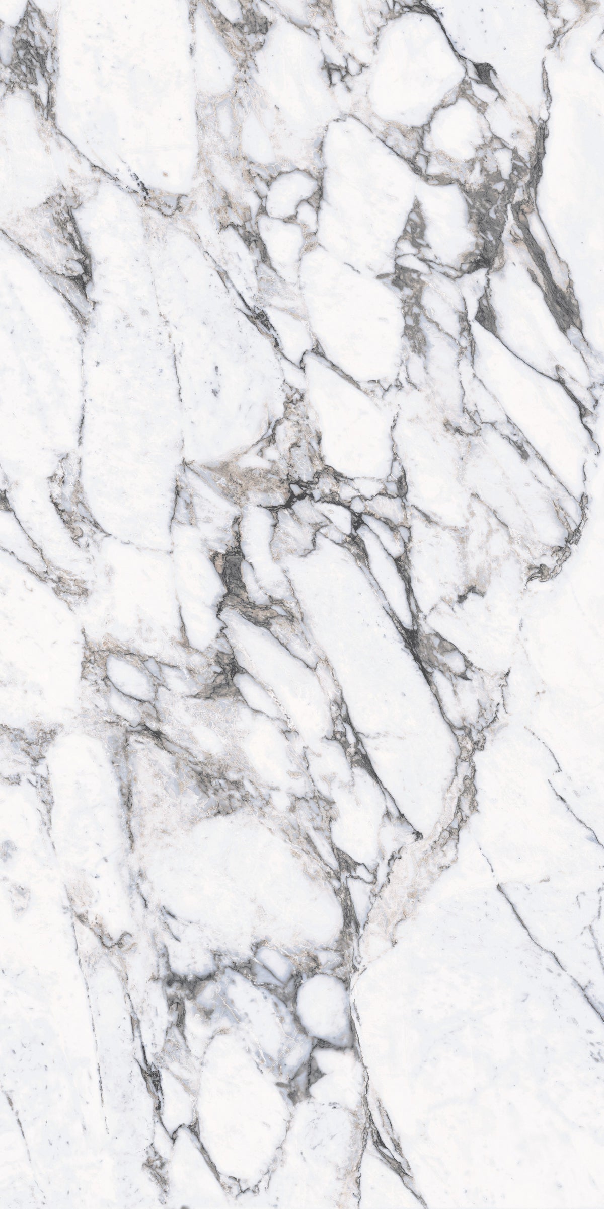 Daltile Elemental Selection Gypsum Calacatta Slab 48x96 Glossy 6MM FC2 Porcelain Slab CM224896DBF21L