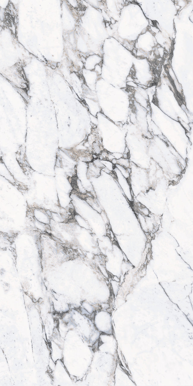 Daltile Elemental Selection Gypsum Calacatta Slab 48x96 Glossy 6MM FC2 Porcelain Slab CM224896DBF21L