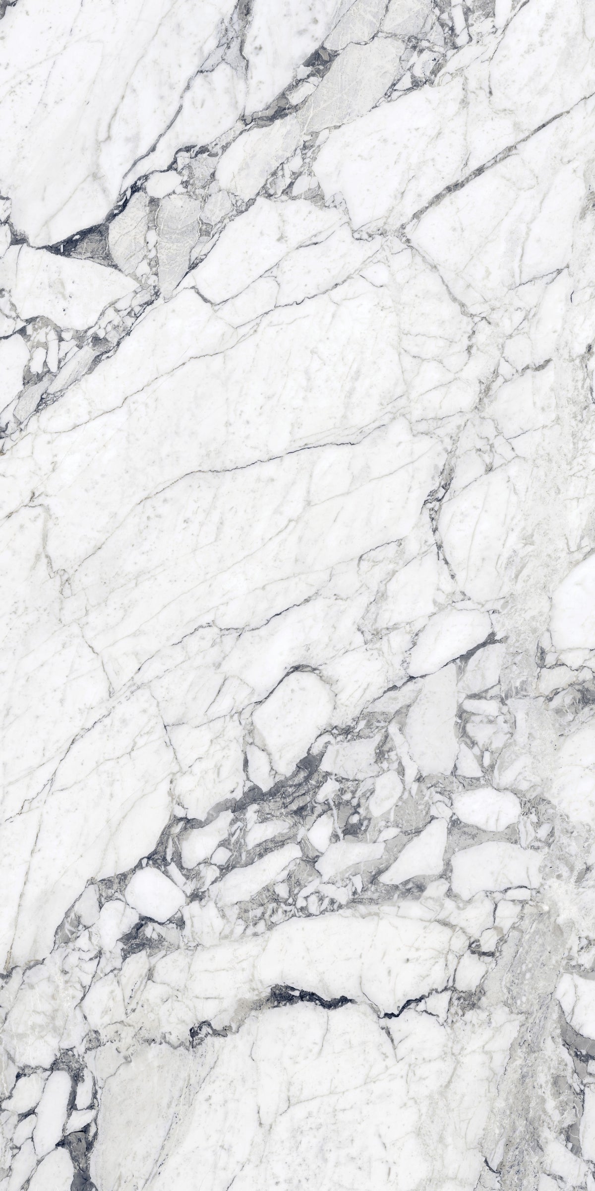 Daltile Elemental Selection Gypsum Calacatta Slab 63x126 Glossy 6MM Porcelain Slab CM2263126DB1L