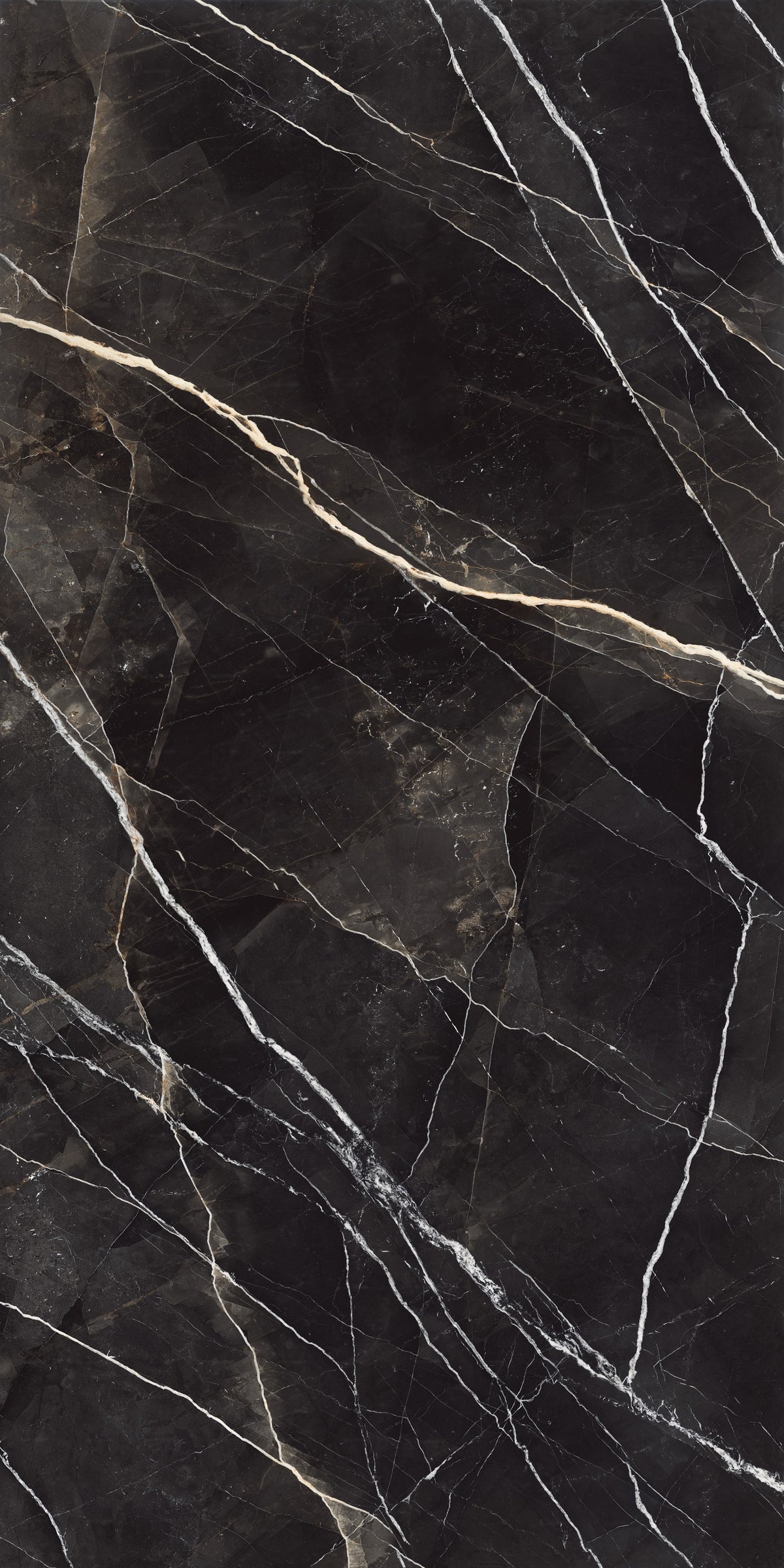 Daltile Elemental Selection Zebra Calacatta Slab 63x126 Glossy 6MM FC1 Porcelain Slab CM5963126DBF11L