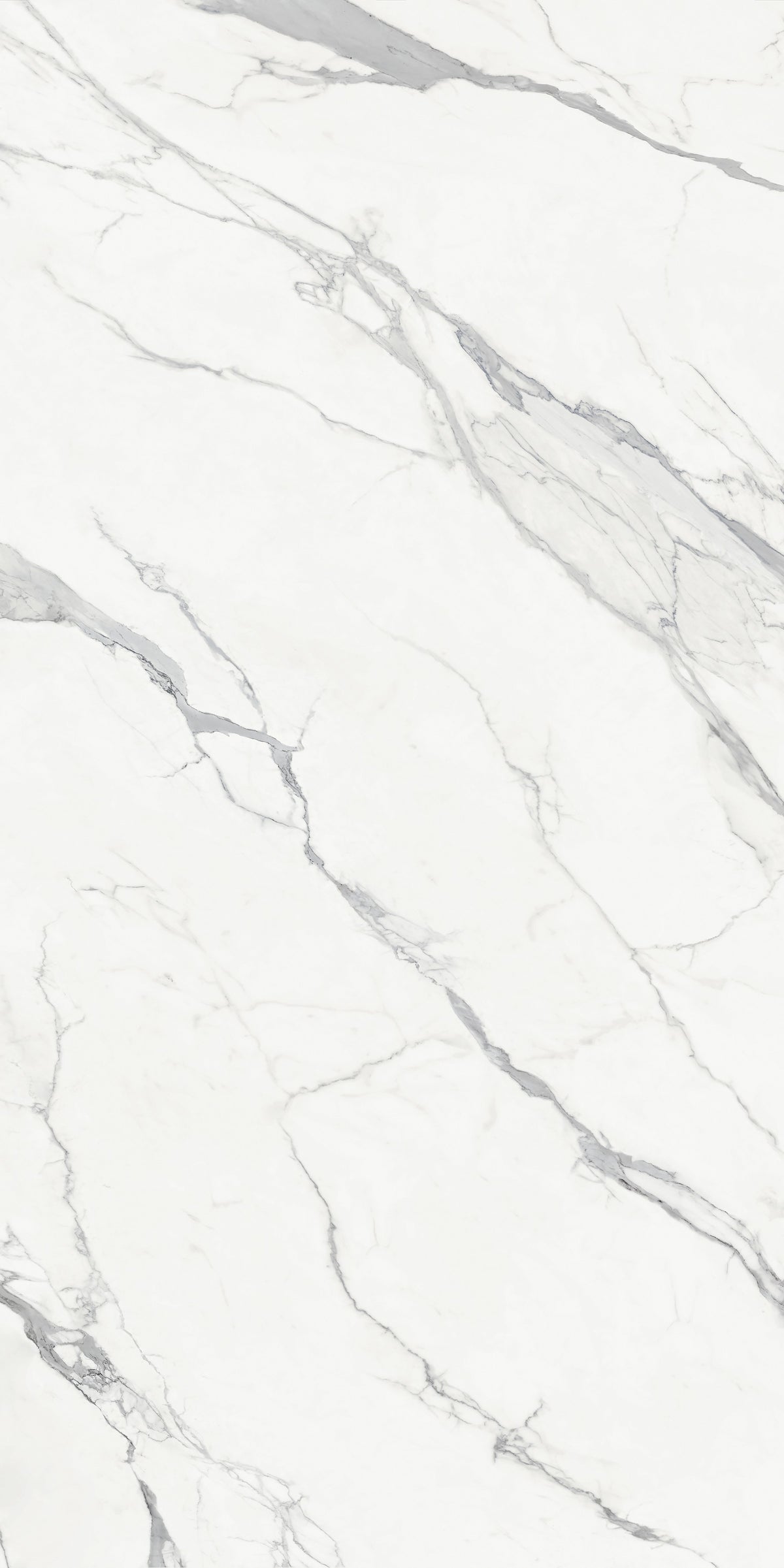 Daltile Elemental Selection Sterling Calacatta Slab 64x127 Glossy 2CM FC1 Porcelain Slab