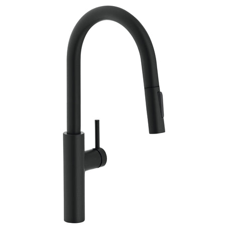 FRANKE PES-PD-MBK Pescara 17-inch Single Handle Pull-Down Kitchen Faucet in Matte Black In Matte Black