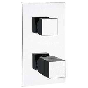 Thermostatic Two Way Diverter