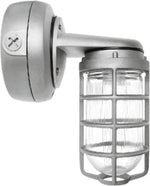 RAB VXBR1F26S Vaporproof 26W Compact Fluorescent Lamp 120V-277V Silver Color - With Glass Globe and Die Cast Guard