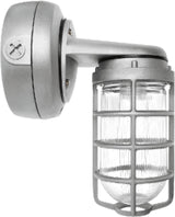 RAB VXBR1F26S Vaporproof 26W Compact Fluorescent Lamp 120V-277V Silver Color - With Glass Globe and Die Cast Guard