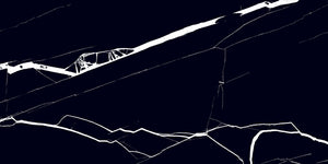 Spider Black 24" x 48" Polished Floor and Wall Tiles