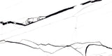 MSI Spider White 24" x 48" Polished Porcelain Floor and Wall Tile (CASE)