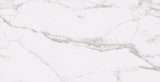 Roca Tile Usa Inc Elegant Ideas 12X24 Statuary White Matte / Unpolished Rectified Porcelain Tile - Ufstur101-1224