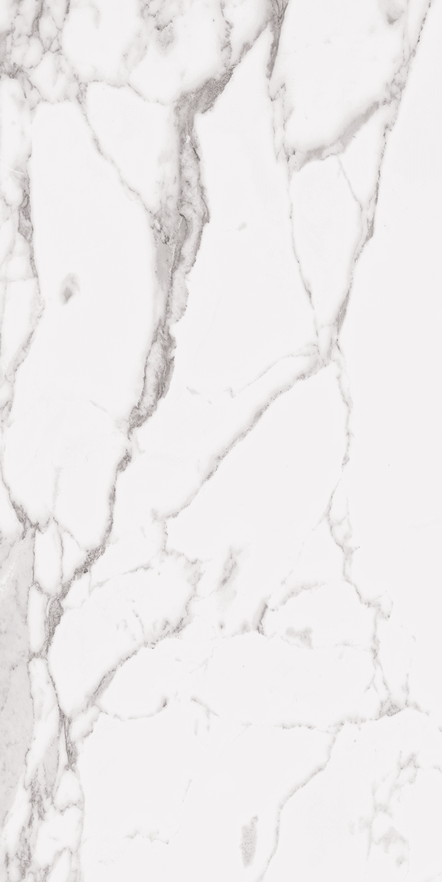 Roca Tile Usa Inc Elegant Ideas 24X48 Statuary White Matte / Unpolished Rectified Porcelain Tile - Ustauup1Lbv