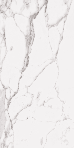 Roca Tile Usa Inc Elegant Ideas 24X48 Statuary White Matte / Unpolished Rectified Porcelain Tile - Ustauup1Lbv