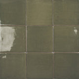 Roca Tile Usa Inc Elegant Ideas 5X5 St. Tropez Verde