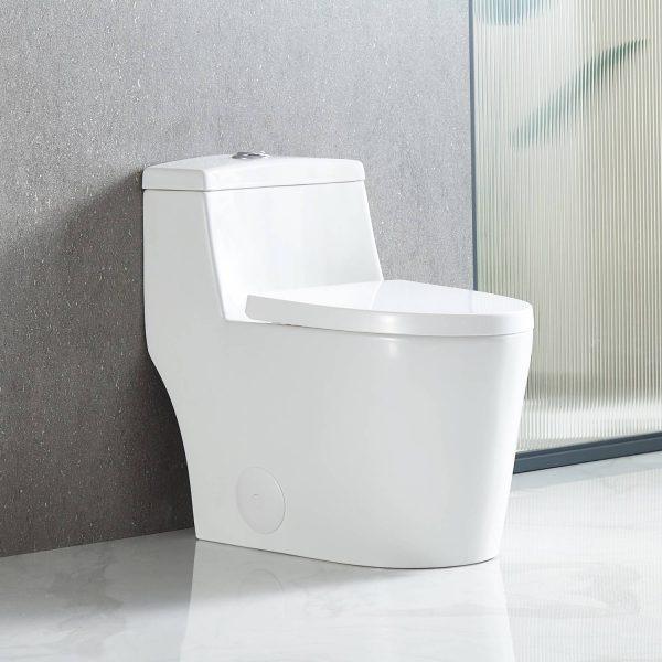 Blossom T9 05 One-Piece Toilet with Dual Cyclone Flush & Self-Cleaning Surface