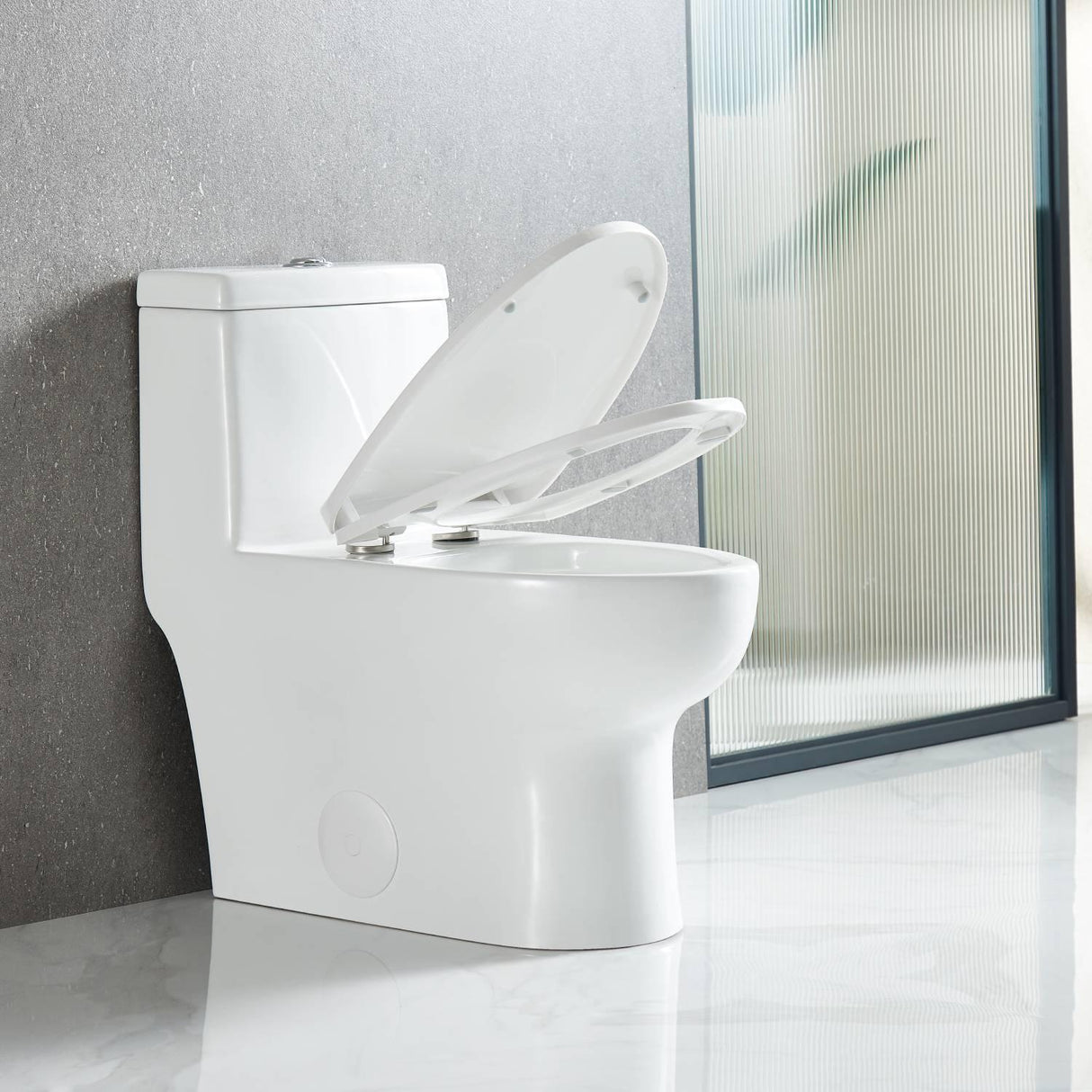 Blossom One-Piece Toilet – Dual Flush, Self-Cleaning, and Easy Installation - T9 01