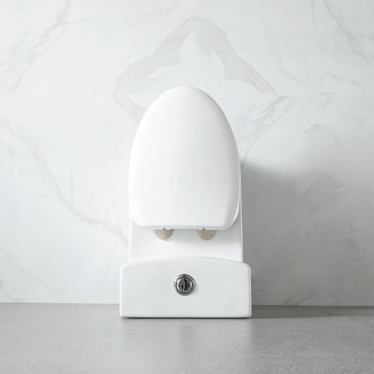 Blossom One-Piece Toilet – Dual Flush, Self-Cleaning, and Easy Installation - T9 01