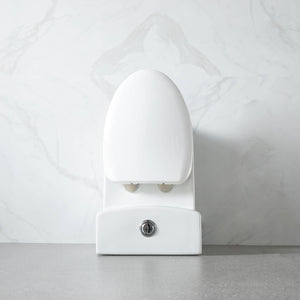 Blossom One-Piece Toilet – Dual Flush, Self-Cleaning, and Easy Installation - T9 01
