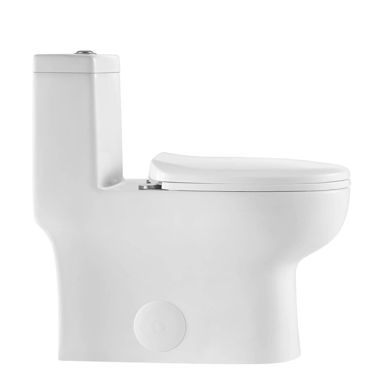 Blossom One-Piece Toilet – Dual Flush, Self-Cleaning, and Easy Installation - T9 01