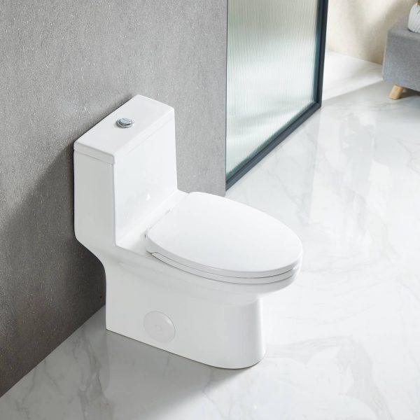 Blossom ADA-Compliant One-Piece Toilet T9 04 with Self-Cleaning Surface & Water-Saving Flush