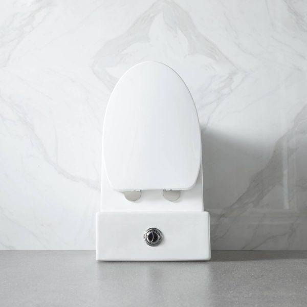 Blossom ADA-Compliant One-Piece Toilet T9 04 with Self-Cleaning Surface & Water-Saving Flush