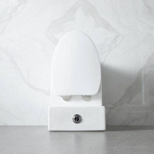 Blossom ADA-Compliant One-Piece Toilet T9 04 with Self-Cleaning Surface & Water-Saving Flush
