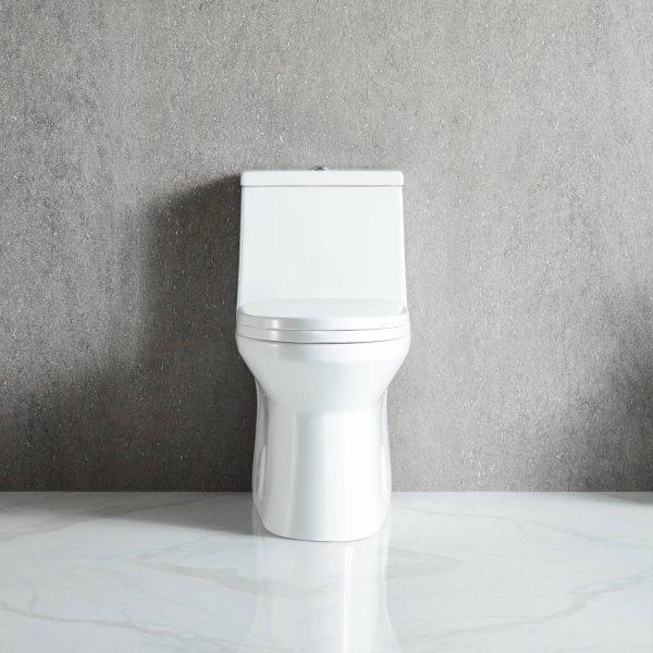 Blossom ADA-Compliant One-Piece Toilet T9 04 with Self-Cleaning Surface & Water-Saving Flush