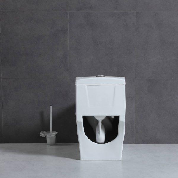 Blossom T9 05 One-Piece Toilet with Dual Cyclone Flush & Self-Cleaning Surface