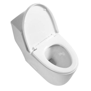 Blossom T9 05 One-Piece Toilet with Dual Cyclone Flush & Self-Cleaning Surface