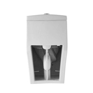 Blossom T9 05 One-Piece Toilet with Dual Cyclone Flush & Self-Cleaning Surface