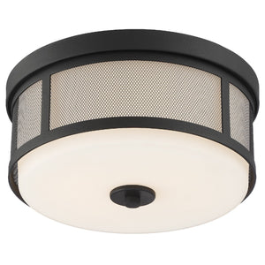 Trevor 2 Light Black Forged Flush Mount TRV-A3802-BF