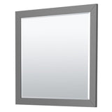 Icon 42 Inch Single Bathroom Vanity in Dark Gray No Countertop No Sink Brushed Nickel Trim 34 Inch Mirror