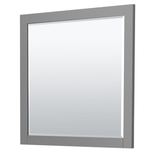 Miranda 42 Inch Single Bathroom Vanity in Dark Gray No Countertop No Sink Matte Black Trim 34 Inch Mirror