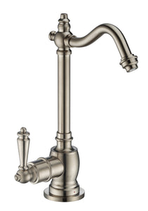 Point of Use Instant Hot Water Drinking Faucet with Traditional Spout