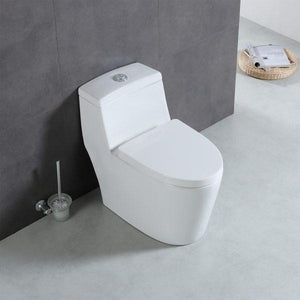 Blossom T9 05 One-Piece Toilet with Dual Cyclone Flush & Self-Cleaning Surface