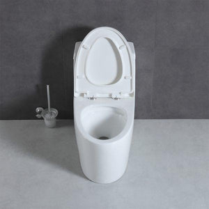 Blossom T9 05 One-Piece Toilet with Dual Cyclone Flush & Self-Cleaning Surface