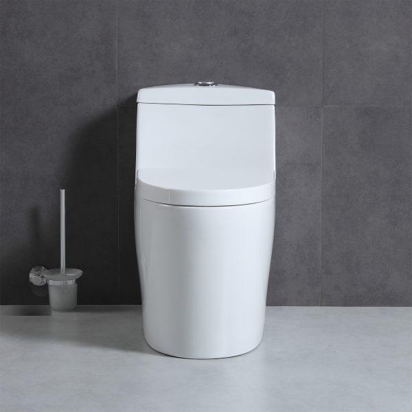 Blossom T9 05 One-Piece Toilet with Dual Cyclone Flush & Self-Cleaning Surface