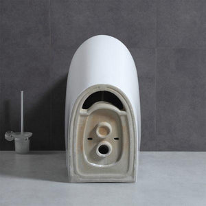 Blossom T9 05 One-Piece Toilet with Dual Cyclone Flush & Self-Cleaning Surface