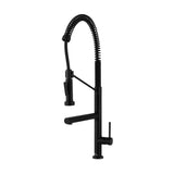 Nouvet Single Handle, Pull-Down Kitchen Faucet with Pot Filler in Matte Black