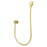 Modern Round 3-Piece Handheld Shower Kit with 60 in. Hose in Brushed Gold