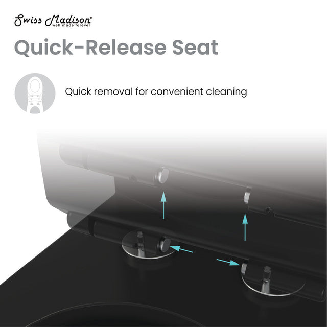 Sublime One-Piece Elongated Toilet Dual-Flush in Matte Black 1.1/1.6 gpf