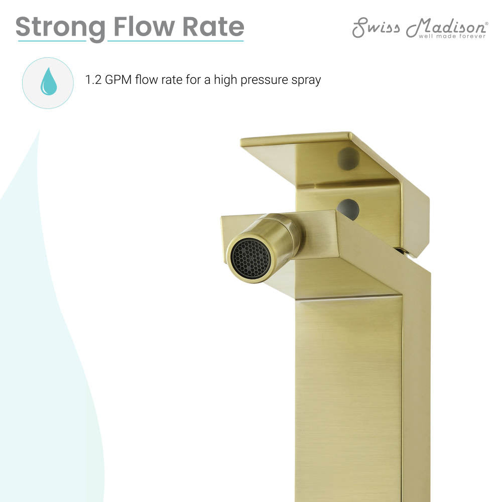 Concorde Bidet Faucet in Brushed Gold