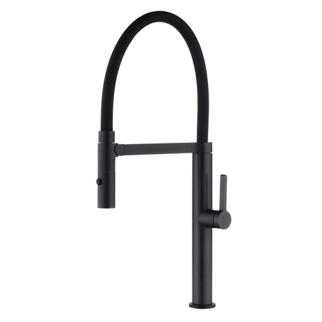 DAX Brass Single Handle Pull Out Kitchen Faucet with Dual Sprayer and Shower, Black DAX-S2417-02