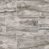 Bernini Carbone Glazed Porcelain Floor and Wall Tiles - MSI Collection BERNINI CARBONE MATTE 12X24 (Case)