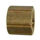 3/4 in. FIP Brass Cap Fitting